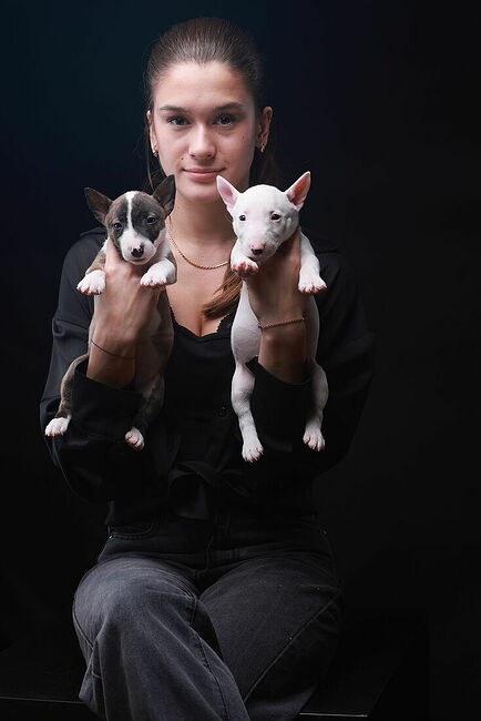 Алиса и ее питомцы